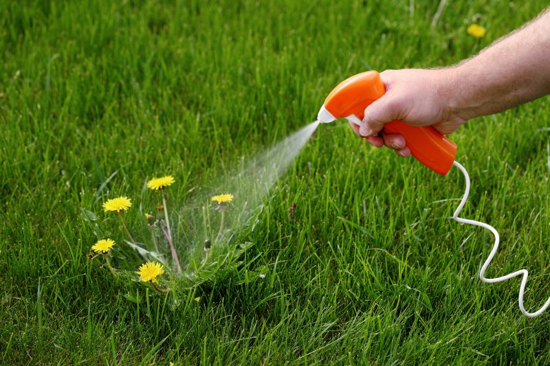Cost of Weed Removal — Cost of Weed Removal