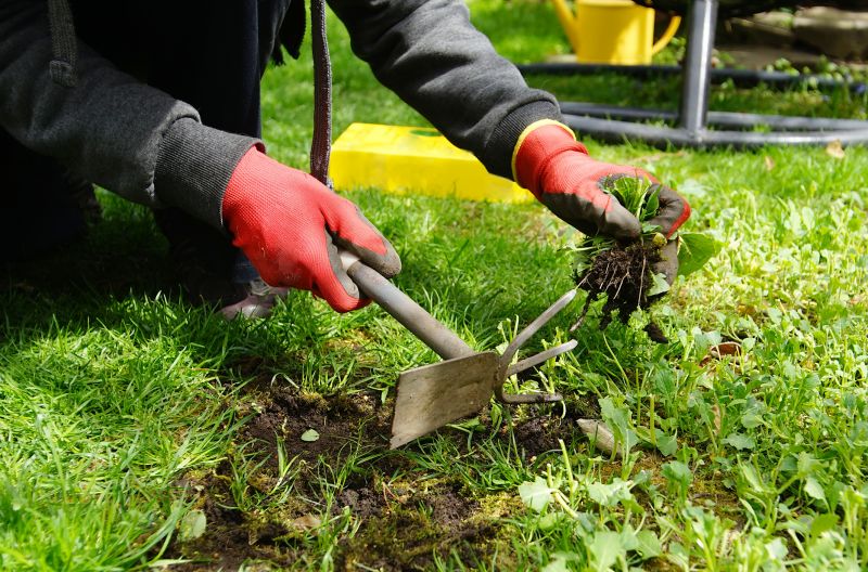 Cost of Weed Removal — Cost of Weed Removal