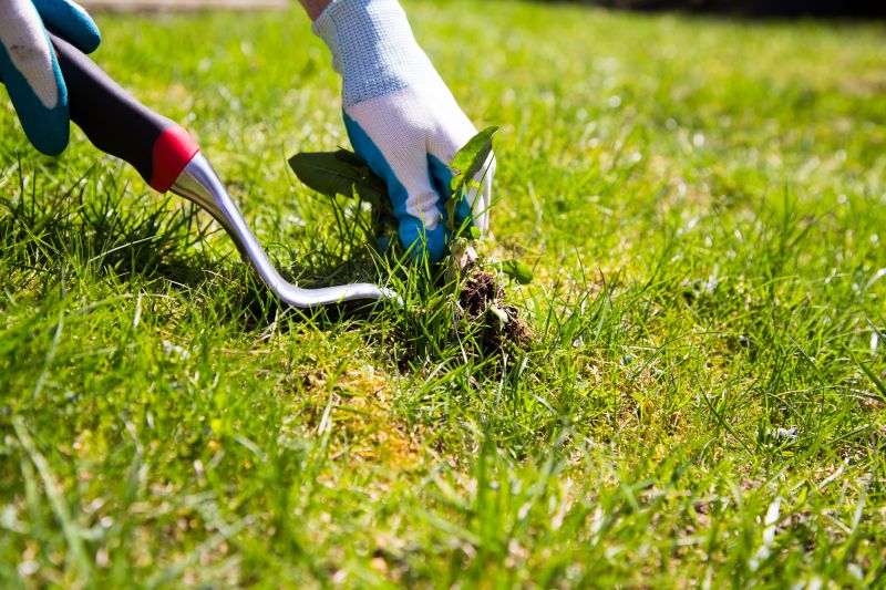 Cost of Weed Removal — Cost of Weed Removal