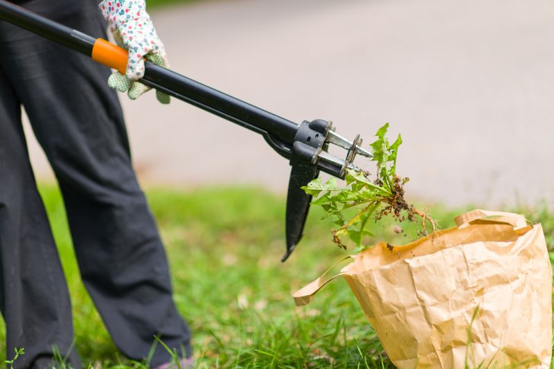 Cost of Weed Removal — Cost of Weed Removal