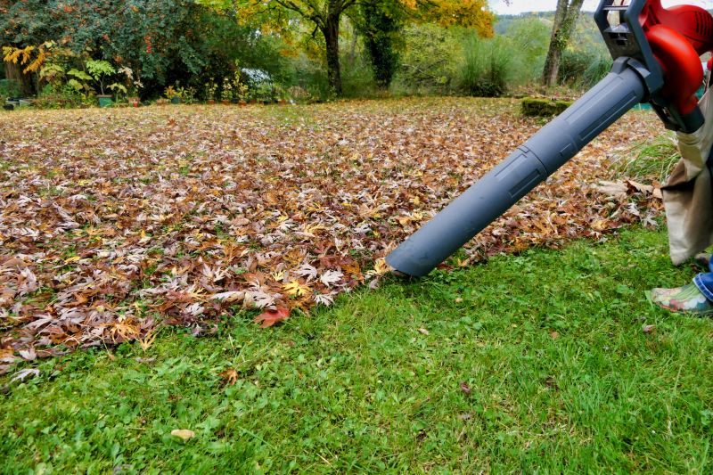 Professional Equipment for Leaf Removal