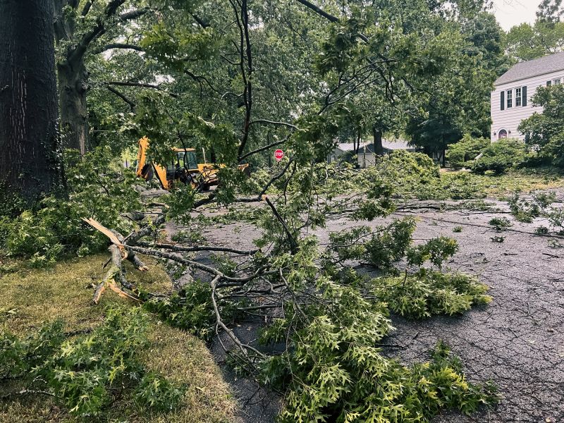Lawn Debris Cleanup in Honolulu, HI